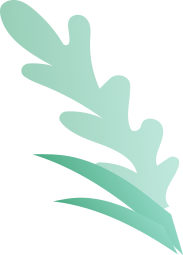 saaspik leaf